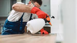 Best Pest Exclusion Services  in Fortuna, CA